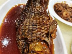 罾蹦鲤鱼-奥华餐厅·老张记(台基厂店)