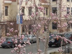 -中国海洋大学游泳馆