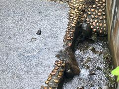 -广东惠东海龟国家级自然保护区