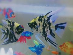 -七宝蔬菜农副产品综合交易市场-停车场