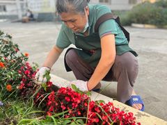 -上海市松江华阳敬老院