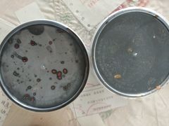 -九斤黄三黄鸡专卖店