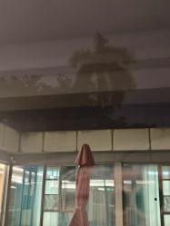 -爱帝宫月子中心(罗湖别墅院)