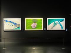 -罗红摄影艺术馆