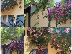 -颐和路民国时期公馆-风貌区