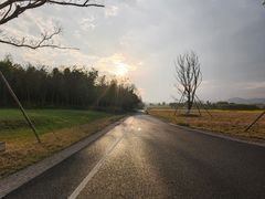 -良渚古城遗址公园