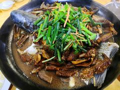 鲩鱼掌亦-柴火农庄(东海路店)
