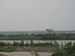 -大湾区中央湿地公园