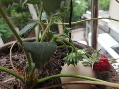 -复兴门(地铁站)