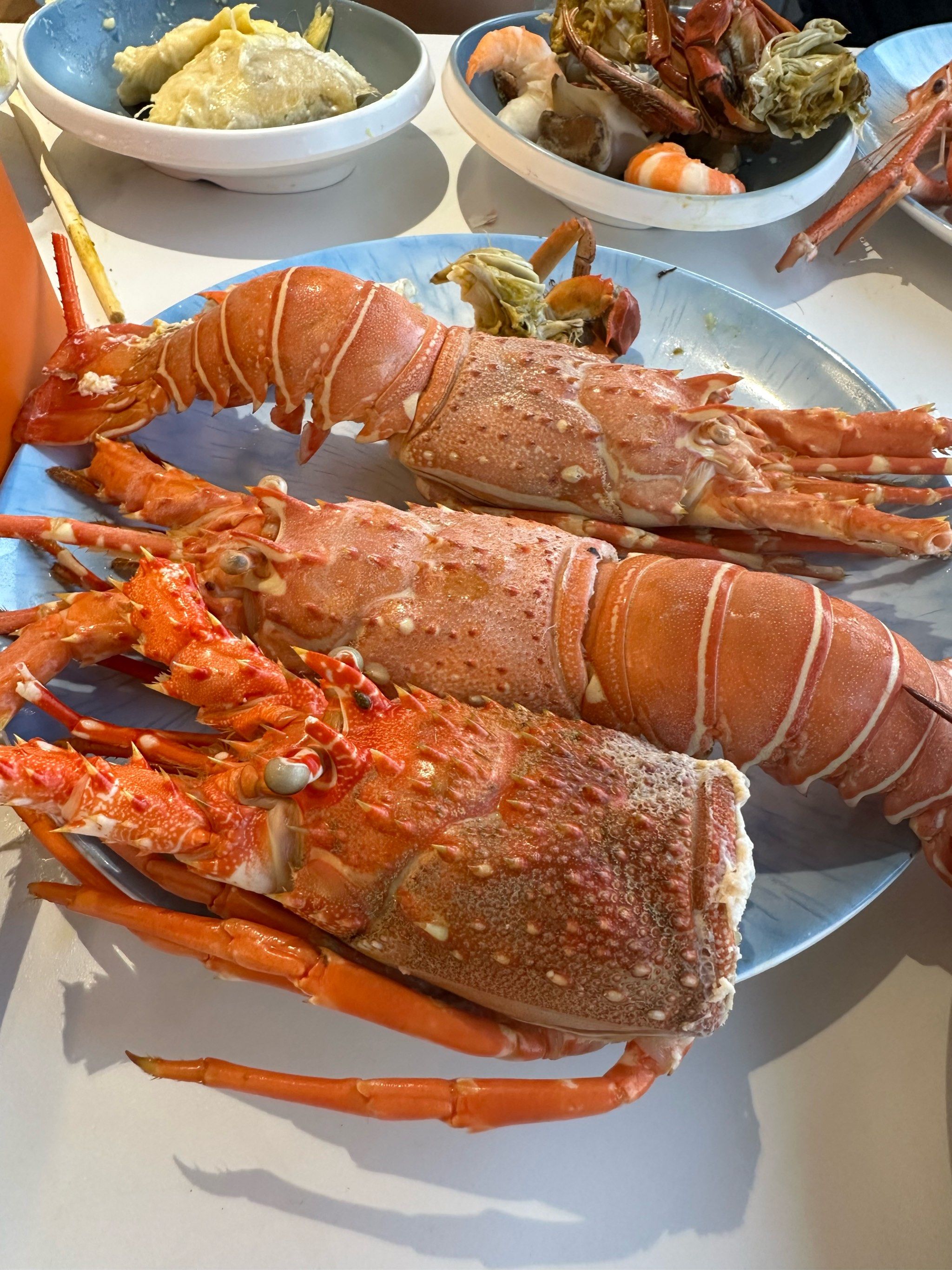 老虎滩号邮轮自助