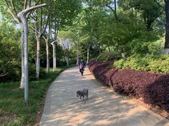 -天鹅湖体育公园