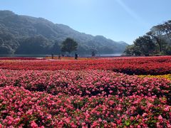 -广州市石门国家森林公园