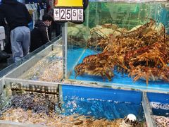 -岳各庄批发市场(西四环中路店)