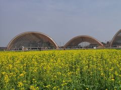 -中国天府农业博览园