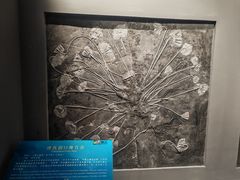 -辽宁古生物博物馆