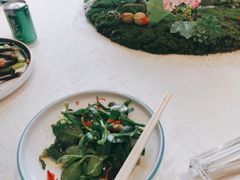 -中苑海韵
