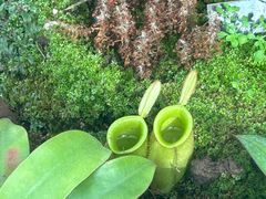 -国家植物园南园