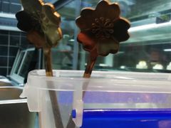 -锅哥有料老火锅(金港国际店)