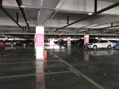 -上海海昌海洋公园-停车场