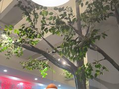 -菌乡缘·野生菌蒸汽鱼火锅(江边夜市店)