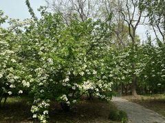 -东园小馆·早茶·淮扬小炒(宋夹城店)