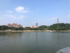 -顺峰山公园