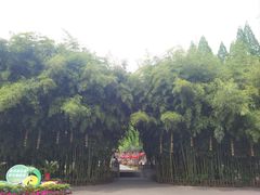 -东坡赤壁风景名胜区