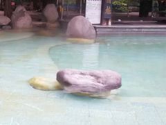 -青城道汤池