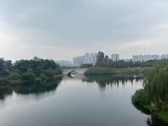 -眉山湿地公园(东坡区)