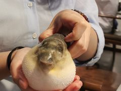 -肆月河豚·新淮扬(金融街店)