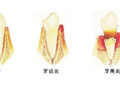-维乐口腔·埃齐门诊(静安店)