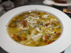 酸菜大头鱼-一品红川菜(皇岗店)