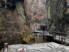 -茅兰沟国家森林公园