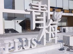-青梅酒肆PLUS(长白仙岛北路店)