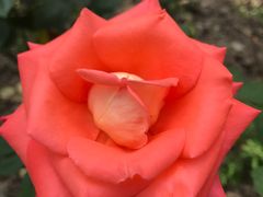 -苏州河梦清园环保主题公园