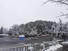 -余家庄肥肠鱼地方汤锅(银杏大道店)