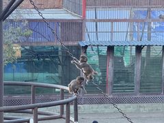 -昆明动物园
