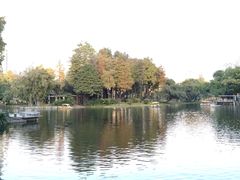 -晓港公园