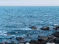 -广东惠东海龟国家级自然保护区