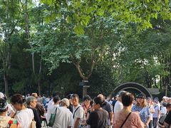 -人民公园-相亲角