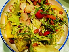 巧嫂大拌菜-雲蜀龙阁·金牌水煮鱼(方庄店)