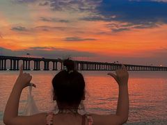 -宝安西湾红树林湿地公园