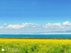 -青海湖国家重点风景名胜区