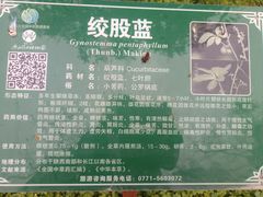 -广西壮族自治区药用植物园