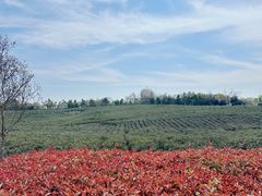 -南京市江宁方山