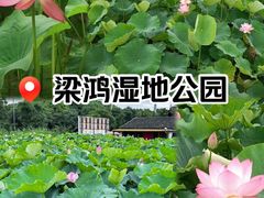 -梁鸿国家湿地公园