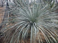-北京植物园-展览温室