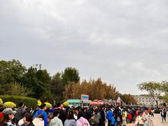 -廊坊固安福朋喜来登酒店