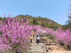 -天台山赤城山景区