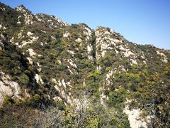 -大岭沟猕猴桃谷风景区